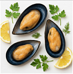 Мидии синие на ракушке 30/45 IQF Мидии синие на ракушке 30/45 IQF