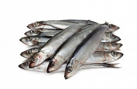 Килька с/м, 8-12 см Килька с/м, 8-12 см