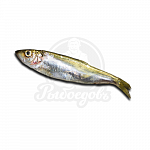 САЛАКА 14-20 см САЛАКА 14-20 см