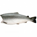 Кижуч ПБГ размер M Кижуч ПБГ размер M