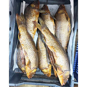 Карась горячего копчения 300-500гр  premium тушка б/г Карась горячего копчения 300-500гр  premium тушка б/г