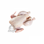 Цыплята охлажденные Цыплята охлажденные