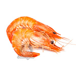 Лангустина 21-30 (1/12)*2 L2 (упаковка 2кг) Лангустина 21-30 (1/12)*2 L2 (упаковка 2кг)
