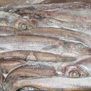 Путассу н/р 25+ (1/30) Путассу н/р 25+ (1/30)