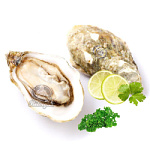 Устрицы Жилардо 3 размер 80-90гр Устрицы Жилардо 3 размер 80-90гр